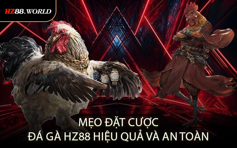 Mẹo đặt cược đá gà HZ88 hiệu quả và an toàn
