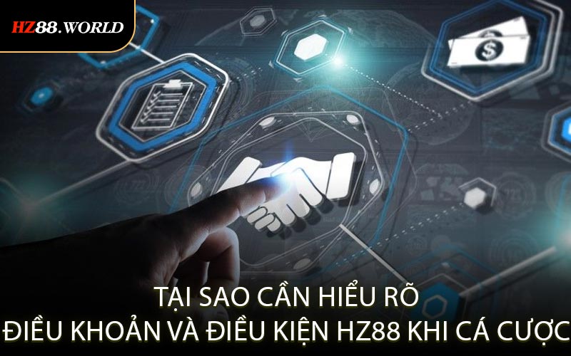 Tại sao cần hiểu rõ điều khoản và điều kiện HZ88 khi cá cược
