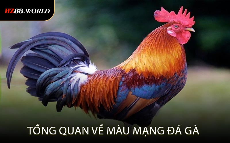 Tổng quan về màu mạng đá gà