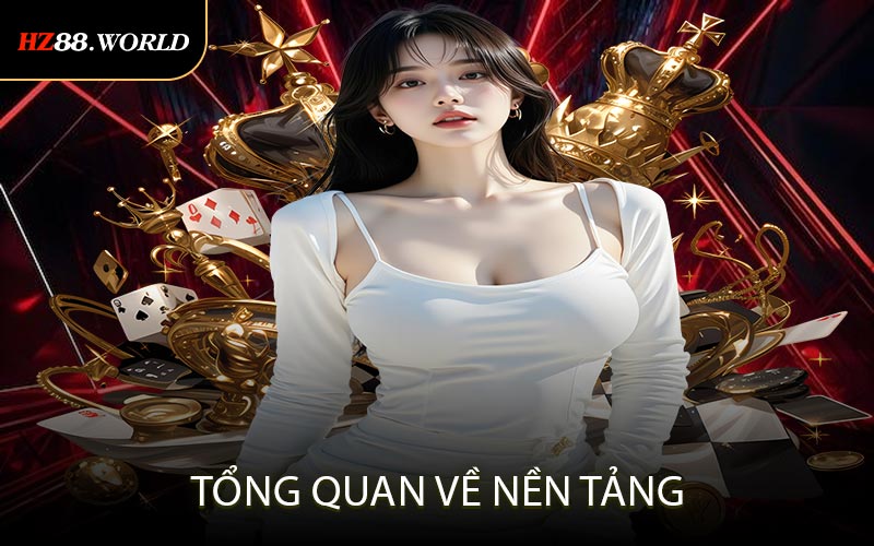 Tổng quan về nền tảng