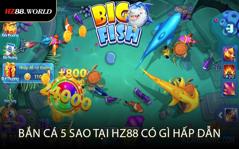 Bắn Cá Đảo Trải Nghiệm Săn Cá 3D Hấp Dẫn
