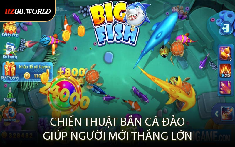 Chiến Thuật Bắn Cá Đảo Giúp Người Mới Thắng Lớn