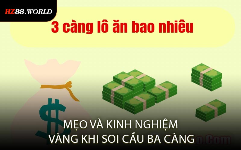 Mẹo Và Kinh Nghiệm Vàng Khi Soi Cầu Ba Càng